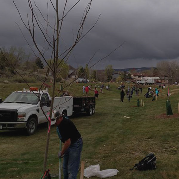 HOA & Public Tree Maintenance in Grand Junction, CO at Alpine Tree Service, LLC