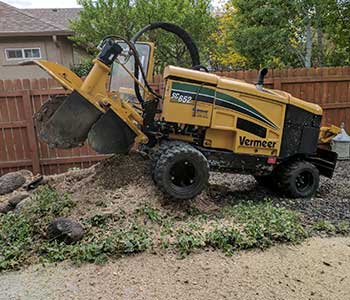 Stump Grinding in Grand Junction, CO | Alpine Tree Service, LLC