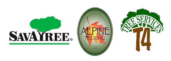 Alpine Tree Service, LLC